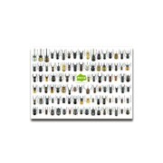 甲虫下じき [文房具]
