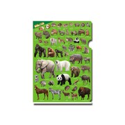 動物クリアファイル [文房具]