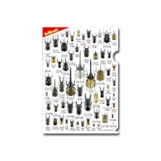 甲虫クリアファイル [文房具]