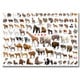 動物大全 [ポスター]