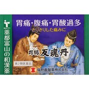 胃腸反魂丹 2包 [第2類医薬品 漢方薬・生薬]