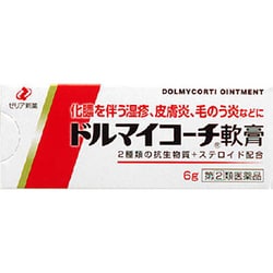 ドルマイコーチ軟膏 6g [指定第2類医薬品 皮膚用治療薬]