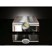 モノラルパワーアンプ シルバー ペア MOMENTUM-MONOBLOCK/SILVER