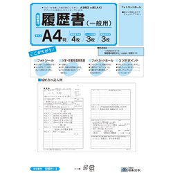 履歴書 A4 履歴書用紙4枚 シール付封筒3枚 職務経歴書3枚 労務11-3