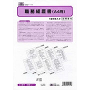 職務経歴書 A4用紙5枚 労務13-1