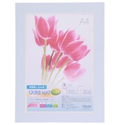 Uclidマット EX A4 シェアブルー