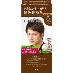 LUCIDO（ルシード） ワンプッシュケアカラー 5 ナチュラルブラウン