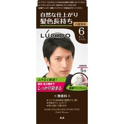 LUCIDO（ルシード） ワンプッシュケアカラー 6 ダークブラウン