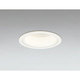 LEDダウンライト ランプ別売 OD301041