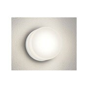 LED浴室/エクステリアライト 5.8W 非調光 電球色 OG254395LD