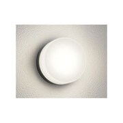 LEDエクステリアライト 5.8W 非調光 電球色 OG254396LD