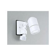人感センサ付LEDアウトドアスポットライト 6W 非調光 昼白色 OG254466ND