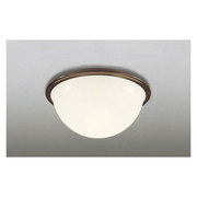 LED小型シーリングライト 6W 電球色 OL013096LC