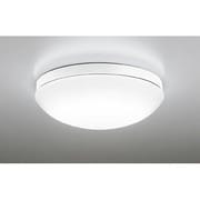LED浴室灯 16.2W 非調光 昼白色 OW269013ND
