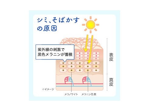 チョコラ bb ルーセント c ストア 市販