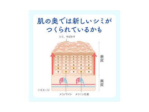 ヨドバシ.com - エーザイ Eisai チョコラBB ルーセントC 180錠 [第3類