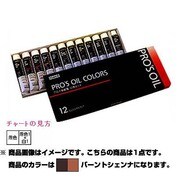 粘土工芸用油絵具 20ml 404721 プロスオイルカラー バーントシェンナ