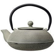 鉄急須 0.5L TETSU KYUSU 風