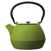 鉄急須 0.9L TETSU KYUSU 林