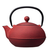 鉄急須 0.9L TETSU KYUSU 火