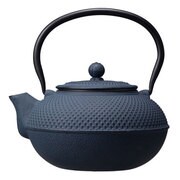 鉄瓶 1.5L TETSU BIN 山