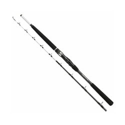 ヨドバシ.com - ダイワ Daiwa 早舟 ビシアジ MH-150 [ロッド