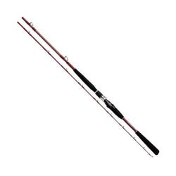 【国内正規総代理店アイテム】 ヨドバシ.com - ダイワ Daiwa リーオマスター 真鯛GM M-360 ロッド