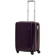 ACTIVE CUBE（アクティヴ キューブ） SKYMAX-α（スカイマックス アルファ） 旅行日数目安：2～3泊 39L/44L（拡張時） TSAロック搭載 機内持ち込み可 アメジスト SAAC-50