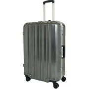 キャリーケース ダブルキャスター 旅行日数目安：4～7泊 60L TSAロック搭載 ガンヘアー TE-0695-60