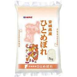 精米 宮城県産 ひとめぼれ 5kg 令和6年産