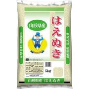 精米 山形県産 はえぬき 5kg 令和6年産