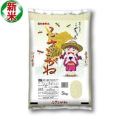精米 千葉県産 ふさこがね 5kg 令和7年産