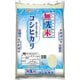 無洗米 洗わずに炊けるコシヒカリ 5kg 令和5年産