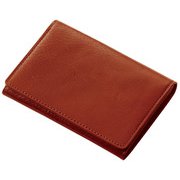 BLOOMSBURY(ブルームズベリー) 50枚名刺入 ブラウン NN8005 C