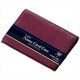 BLOOMSBURY（ブルームズベリー） 50枚名刺入 ワイン NN8005 Z