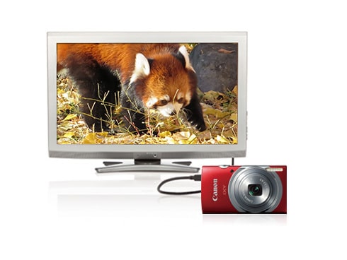 ヨドバシ.com - キヤノン Canon IXY 130 RE [コンパクトデジタル