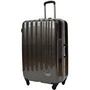 ハードケース 旅行日数目安：4～7泊 89L TSAロック搭載 ブラウンカーボン SP-0656-71