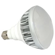 LED撮影用電球 白色(デイライトカラー用) 30W LED-139CW 散光型