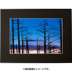 写真用額縁  DNP ギャラリーⅡ A4 ブラック　5枚セット1 ヨドバシ.com - DNPフォトイメージングジャパン A4 ブラック