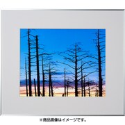 半切 シルバー ギャラリー2