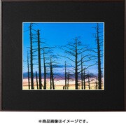 四切 木目調 ブラウン ギャラリー2
