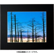 全紙 木目調 ブラウン ギャラリー2