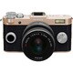 Q-S1 ズームレンズキット シャンパンゴールド×チャコールブラック 022 [ボディ＋交換レンズ「PENTAX-02 STANDARD ZOOM」]