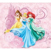 Wii U Skin Princess [Wii U ドレスアップシール]