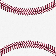 Wii U Skin Baseball [Wii U ドレスアップシール]