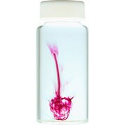 KM962263 [透明標本 レッドテールキャット 50ml]