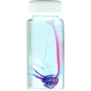 KM962264 [透明標本 シルバーアロワナ 50ml]