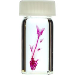 ヨドバシ Com 太洋産業貿易 Km 透明標本 ガラ ルファ 9ml 通販 全品無料配達