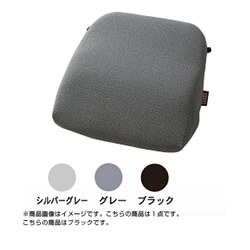 ソルボ らく楽ランバーサポート ブラック 66051