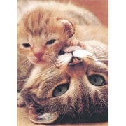 300-080 [ジグソーパズル ママと一緒 猫 300ピース]